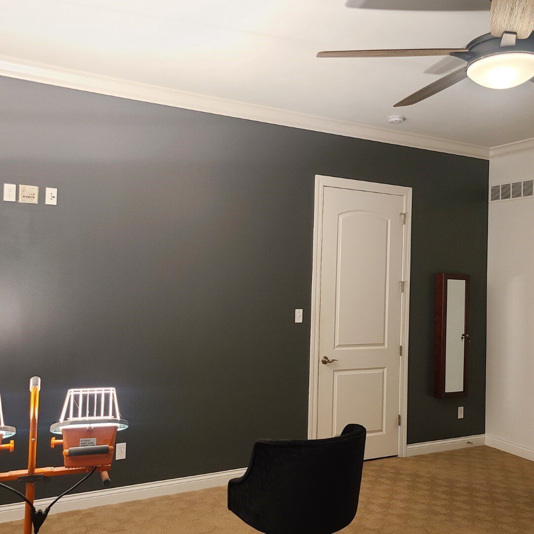 Residential Interior Bedroom Wall Painting Example in St Louis